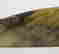 item-130297571=4