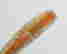 item-130297611=8