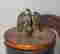 item-133884696=13