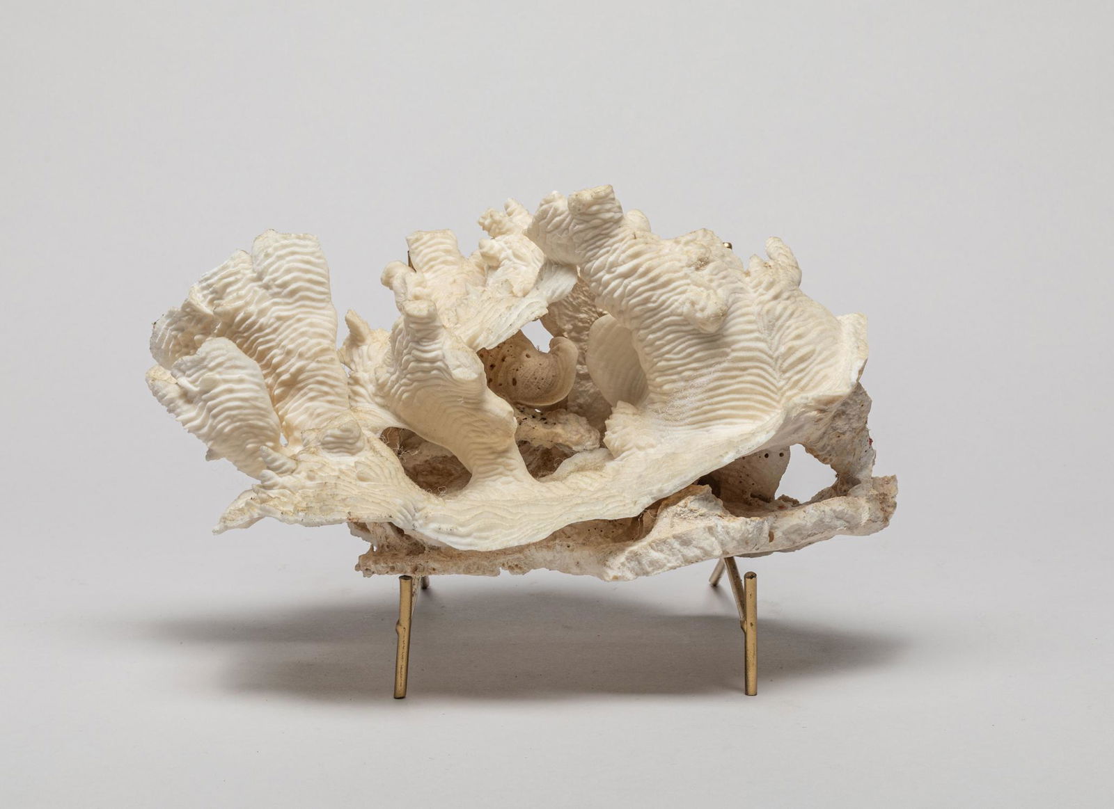 Large White Coral House Decors (1 of 12)