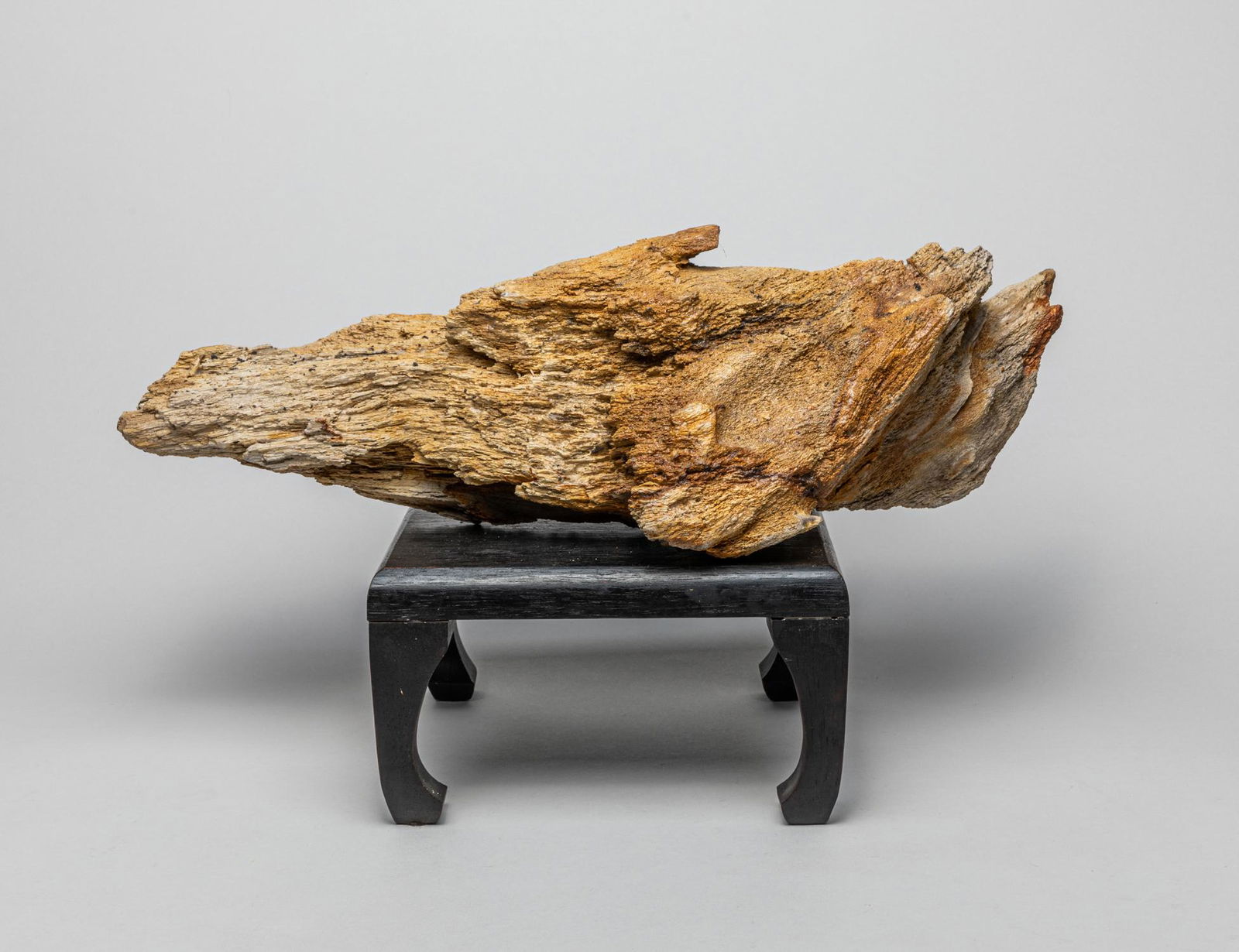 Petrified Wood Table Sculpture (1 of 9)