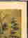 item-133885310=12
