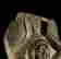 item-135671989=10