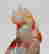 item-135672484=6