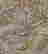 item-137448271=7