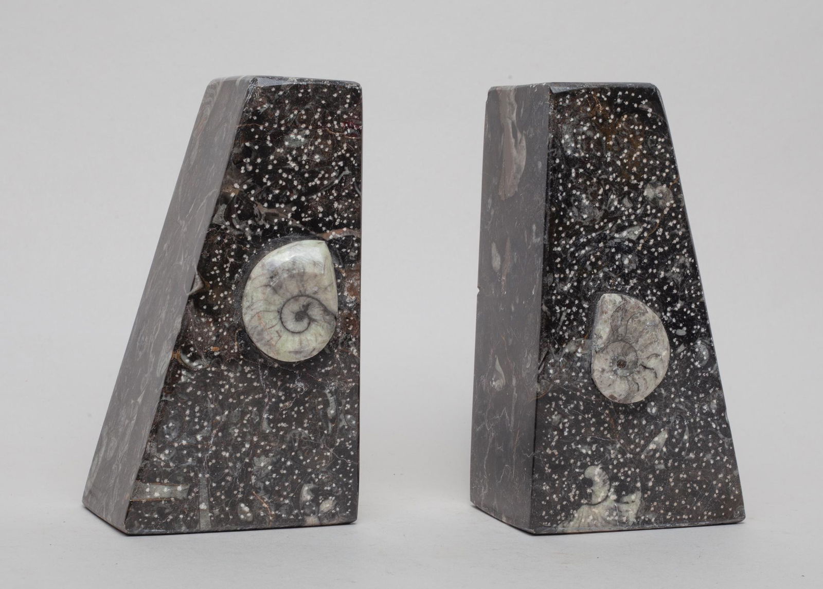 Mid-century Designed Fossil Book ends (1 of 15)