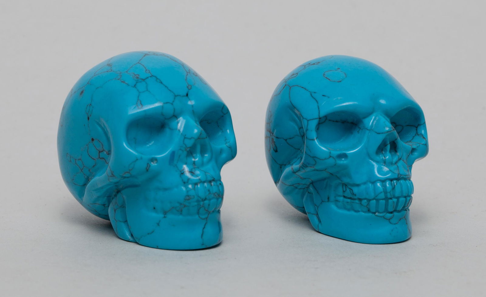 Modern House Art Decor of Turquoise Skull (1 of 9)