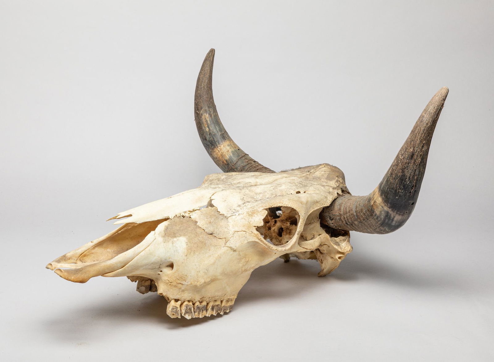 Collectible Wall Hanging Decor (1 of 11)