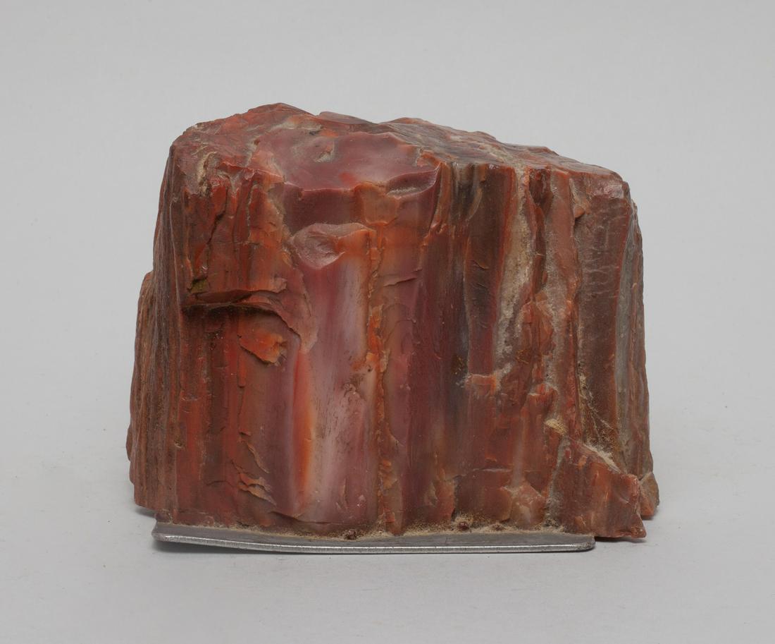 Fossilized Red Petrified Wood Sculpture (1 of 9)