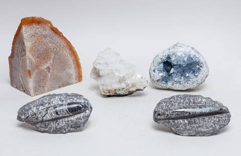 Sculpture, Aquamarine & Fossils: Including 2 fossil sculptures and 3 aquamarine or gemstone sculptures. Approx. 6.1-3.3-5 inch (largest).