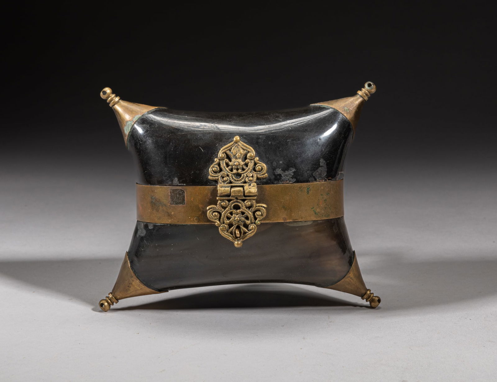 Large Continental Horn & Brass Box (1 of 9)