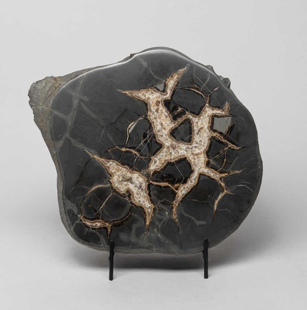 Art Fossil Large Slab (1 of 10)