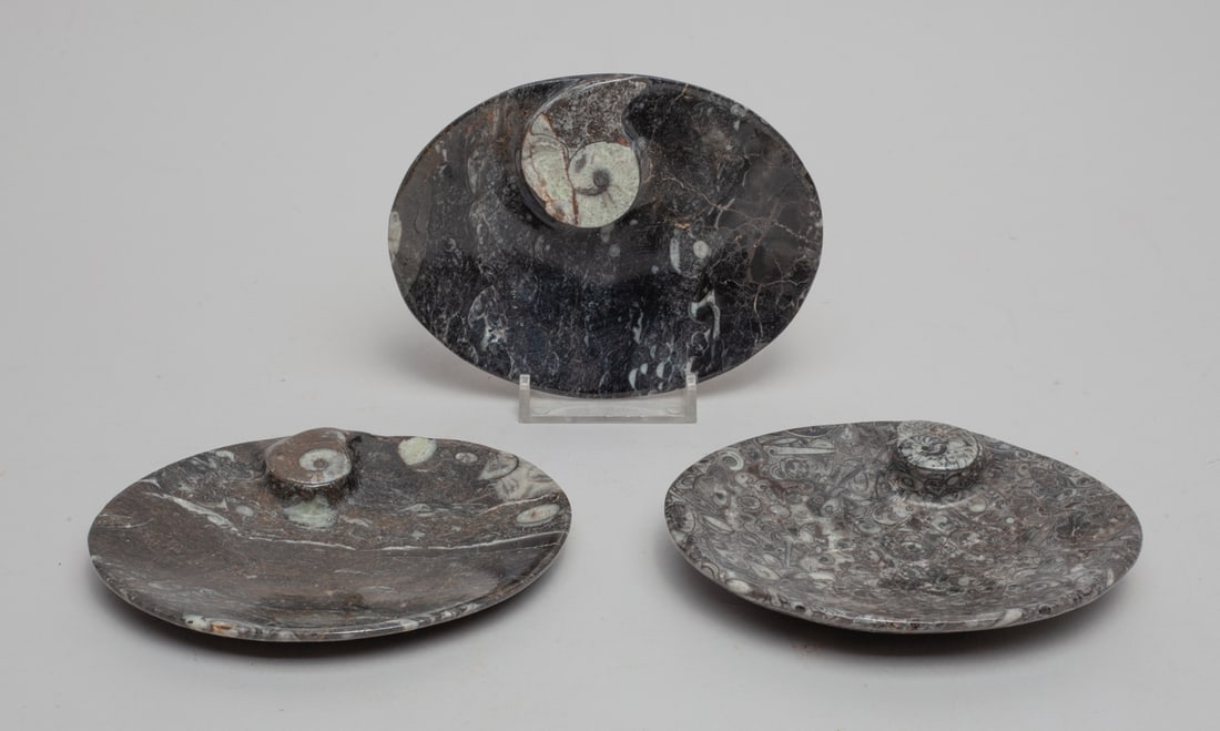 Collectible Fossil Ice Cream Plates: Set of 3 fossil carved ice cream plates. Approx. 4.7-3.7 inch (largest).