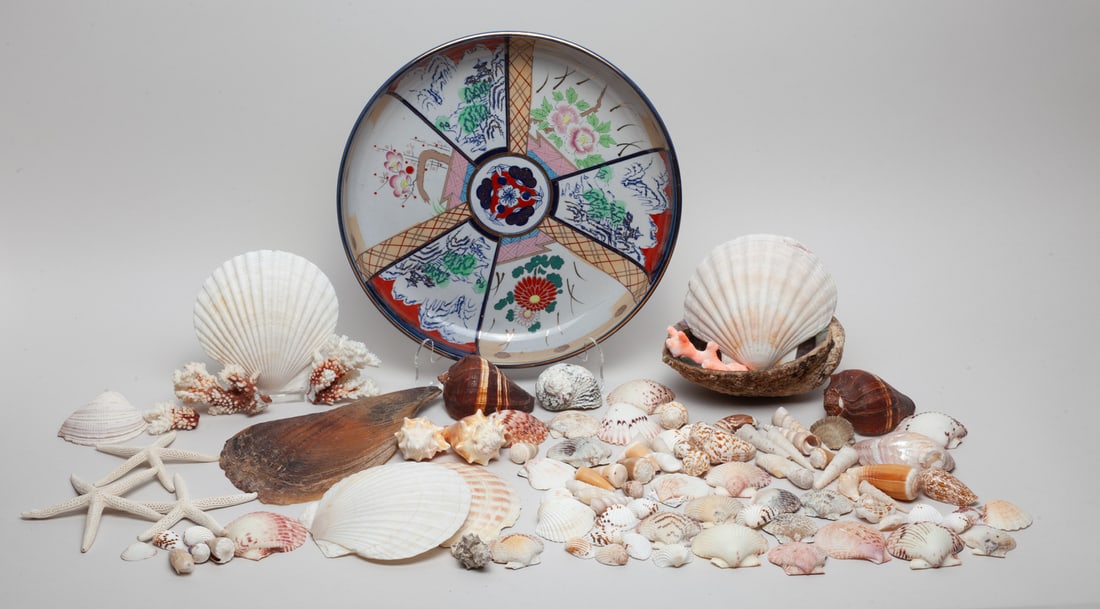 Collectible Large Set Shells (1 of 12)