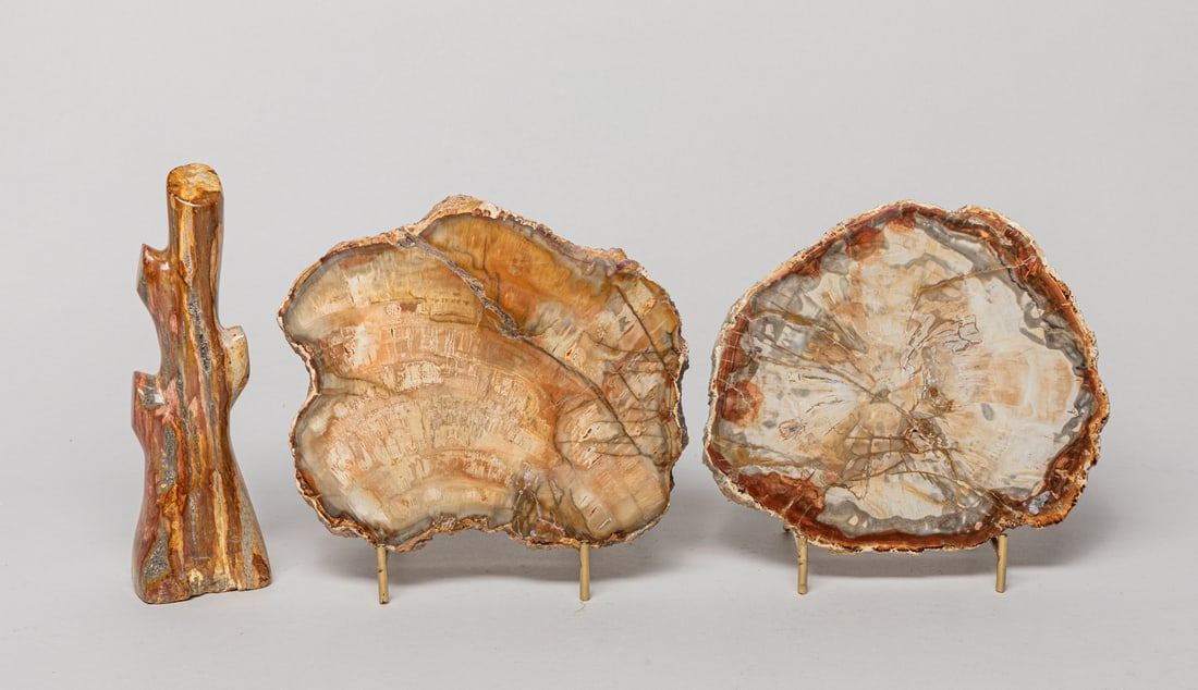Collectible Petrified Wood Sculptures (1 of 10)