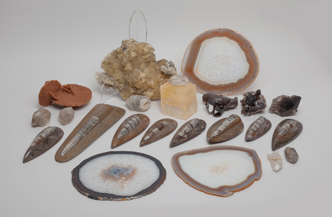 Large Set Estate Fossils & Crystals (1 of 11)