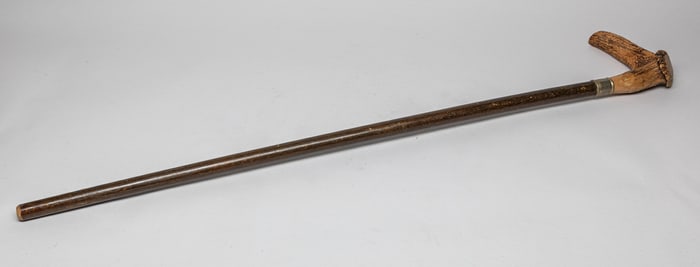 Collectible Old Cane with Horn Final