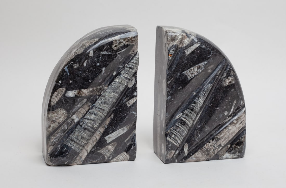 Two Collectible Fossil Bookends (1 of 12)