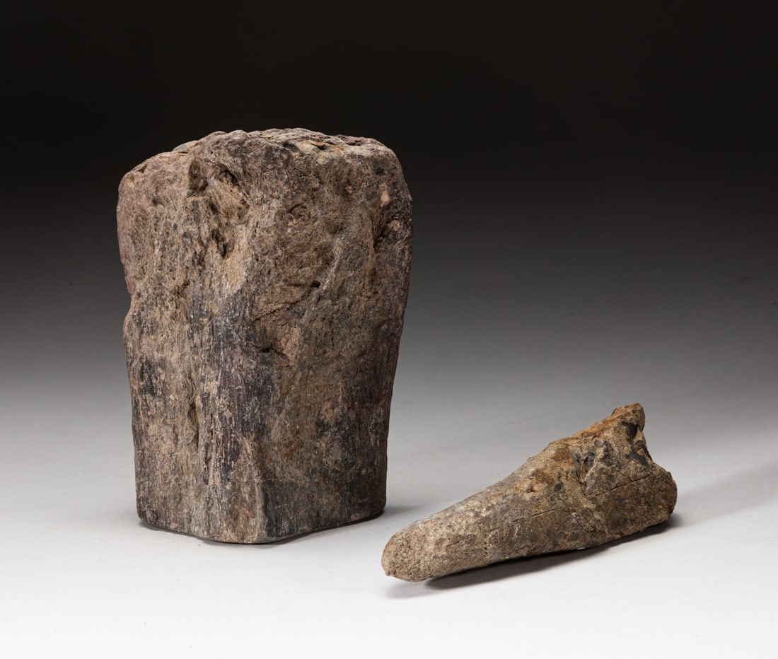 Two T-Rex Fossil Stones (1 of 9)