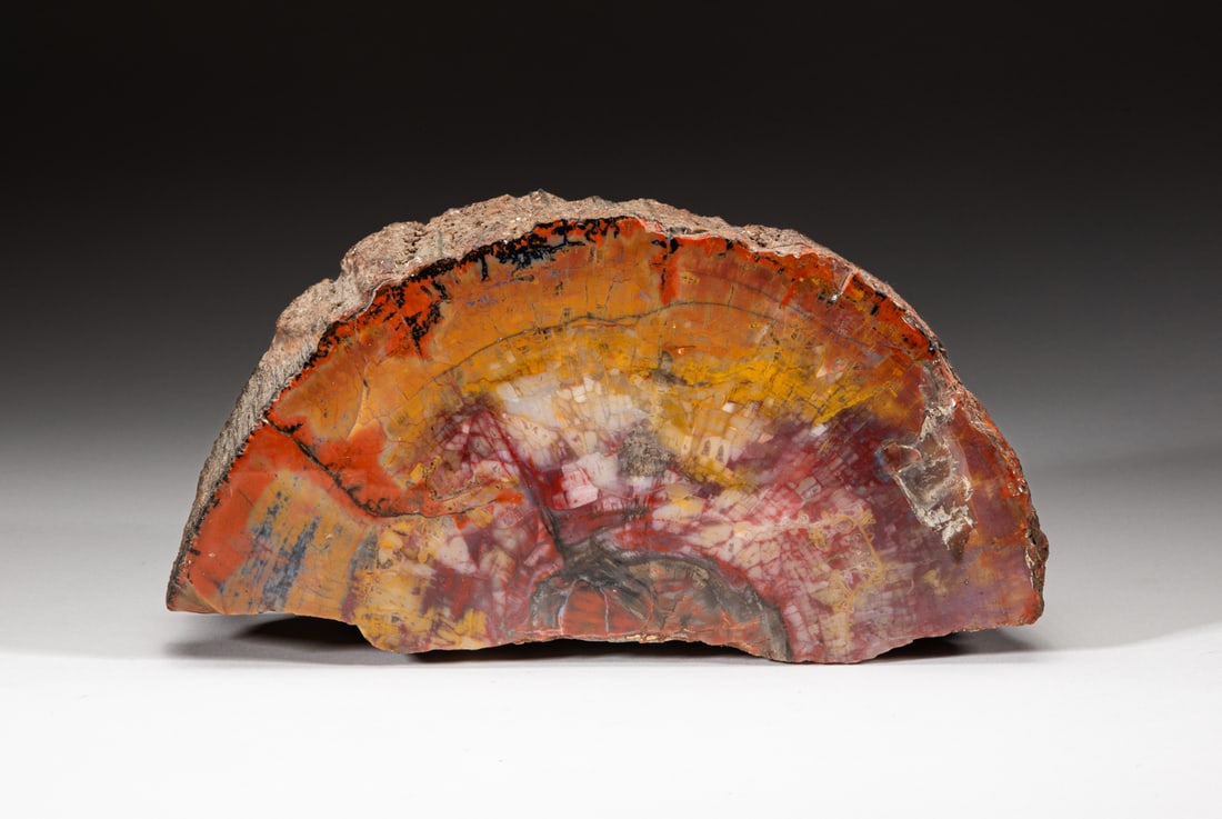 Lg Petrified Wood Sculpture, KS (1 of 9)