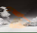 Art Crystal & Cameo Agate Bird