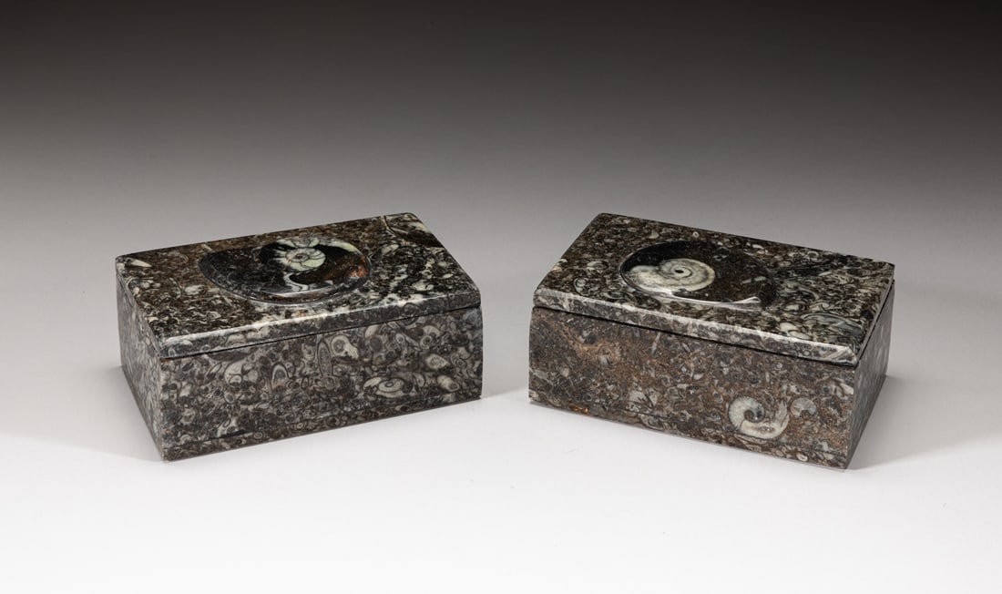 Two Fossil Carved Jewelry Boxes (1 of 8)