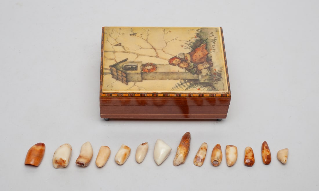 Estate Fossilized Cave Bear Teeth: A set of collectible fossilized cave bear teeth, with a wooden box. Approx. 1.8 inches L(Largest).