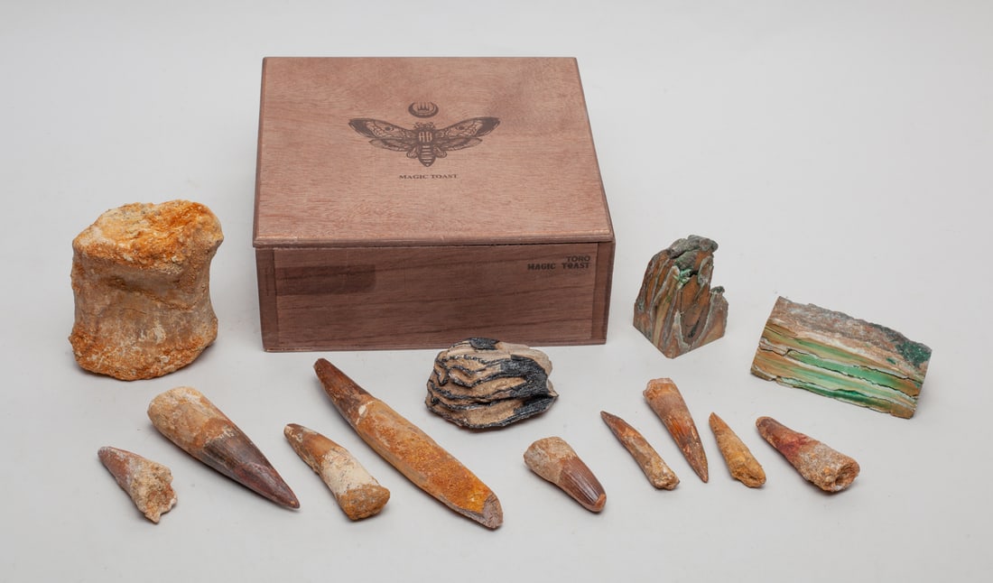 Estate Large Set Siberia Animal Teeth: A box of Siberia fossil collection including large animal teeth, bone section, bone debris and others. Apprrox.3.1-3.5-2.0 inches (Largest).