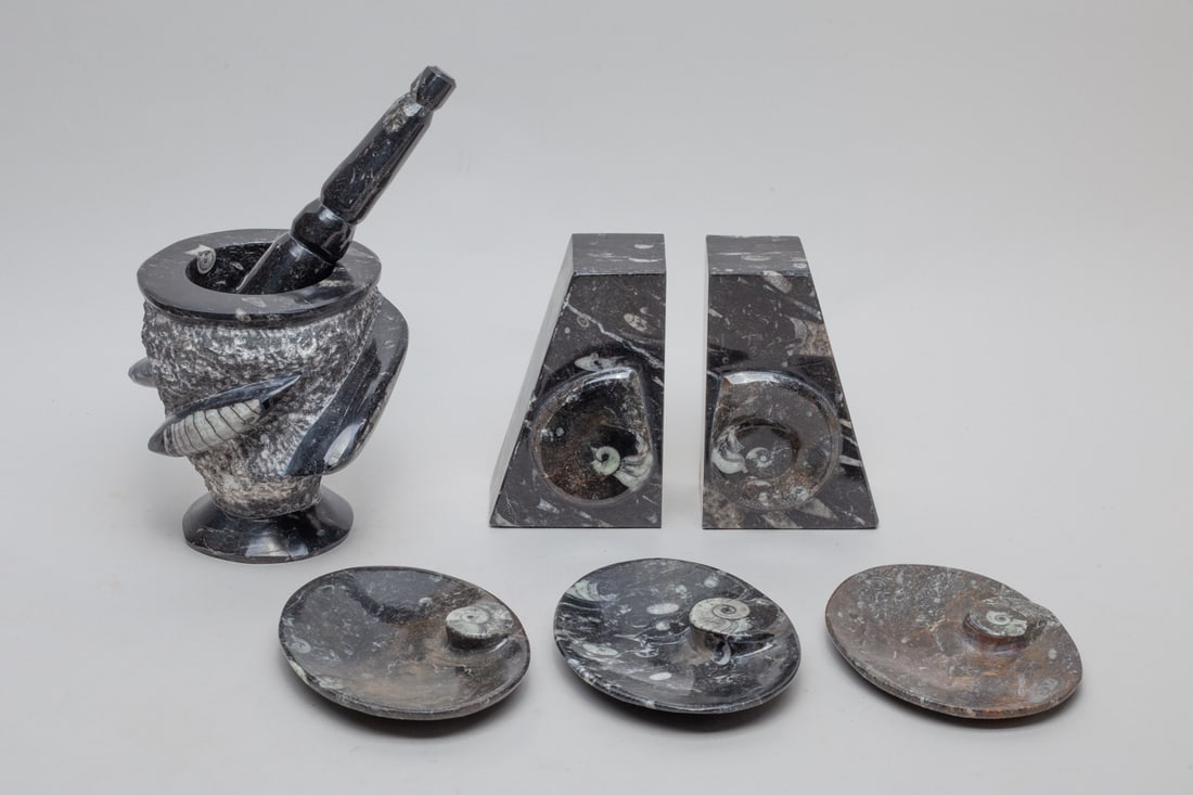 Collectible Fossil Carvings (1 of 12)