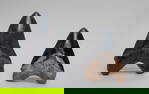 Two Large Painted Fossilized Shark Teeth