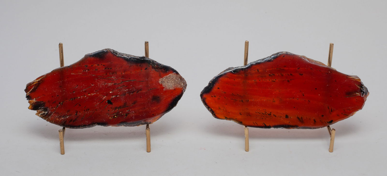 Two Root Amber Slabs (1 of 11)