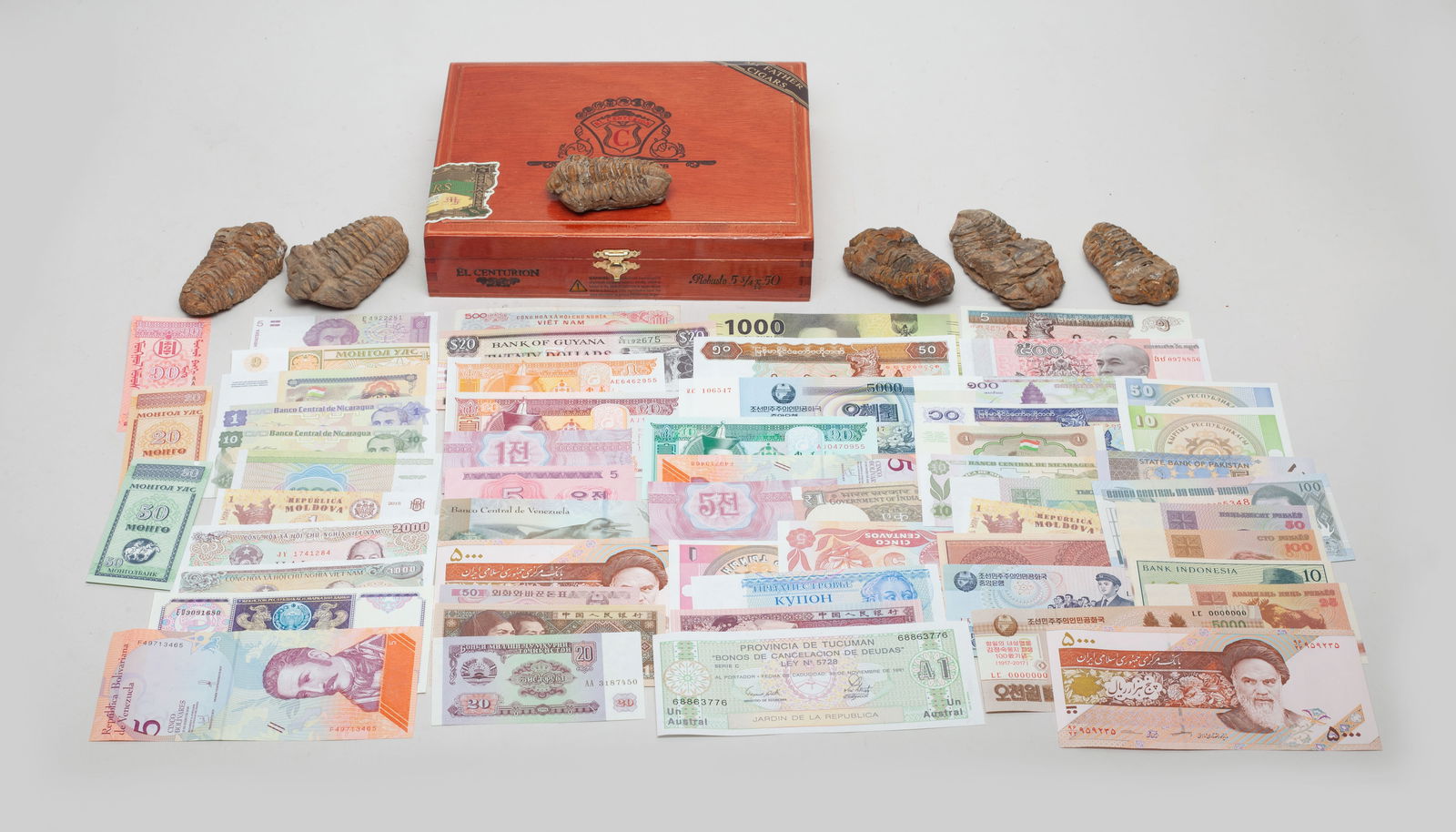 World Banknotes & Fossil Stones (1 of 12)