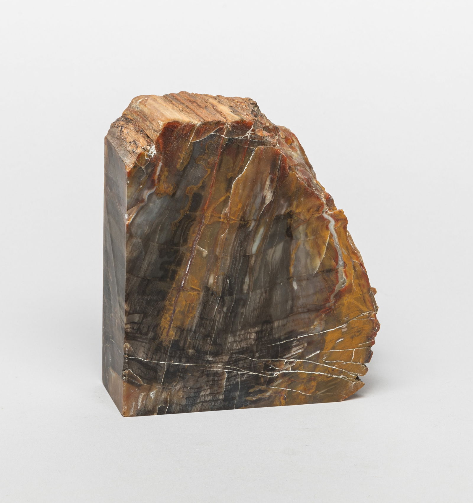 Petrified Wood Table Sculpture (1 of 10)