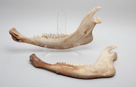 Two American Indian Sculptures