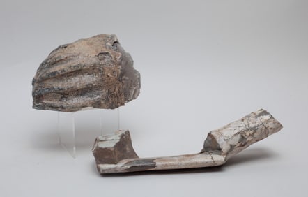 Two Large Fossilized Opal & Stone