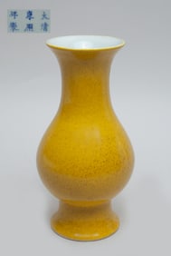 Chinese Yellow Glazed Porcelain Vase