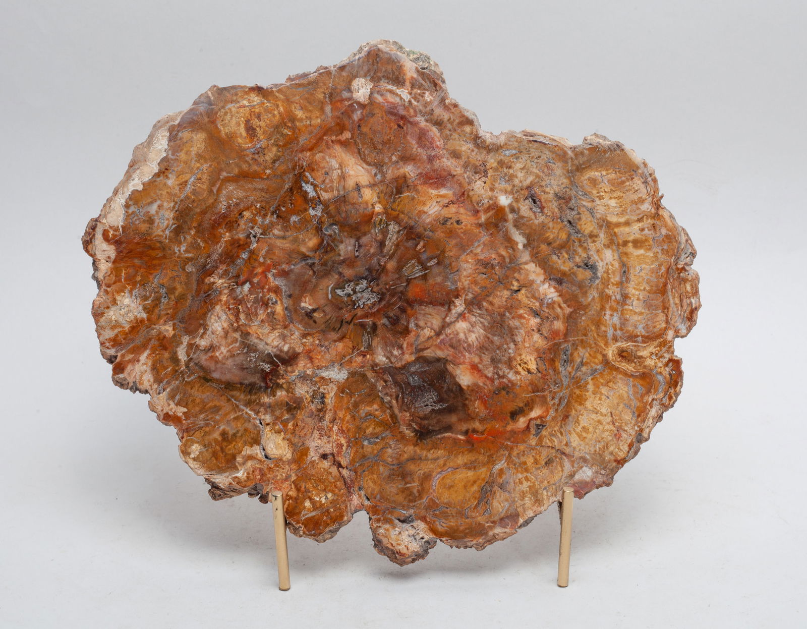 Large Petrified Wood Slab Sculpture (1 of 8)