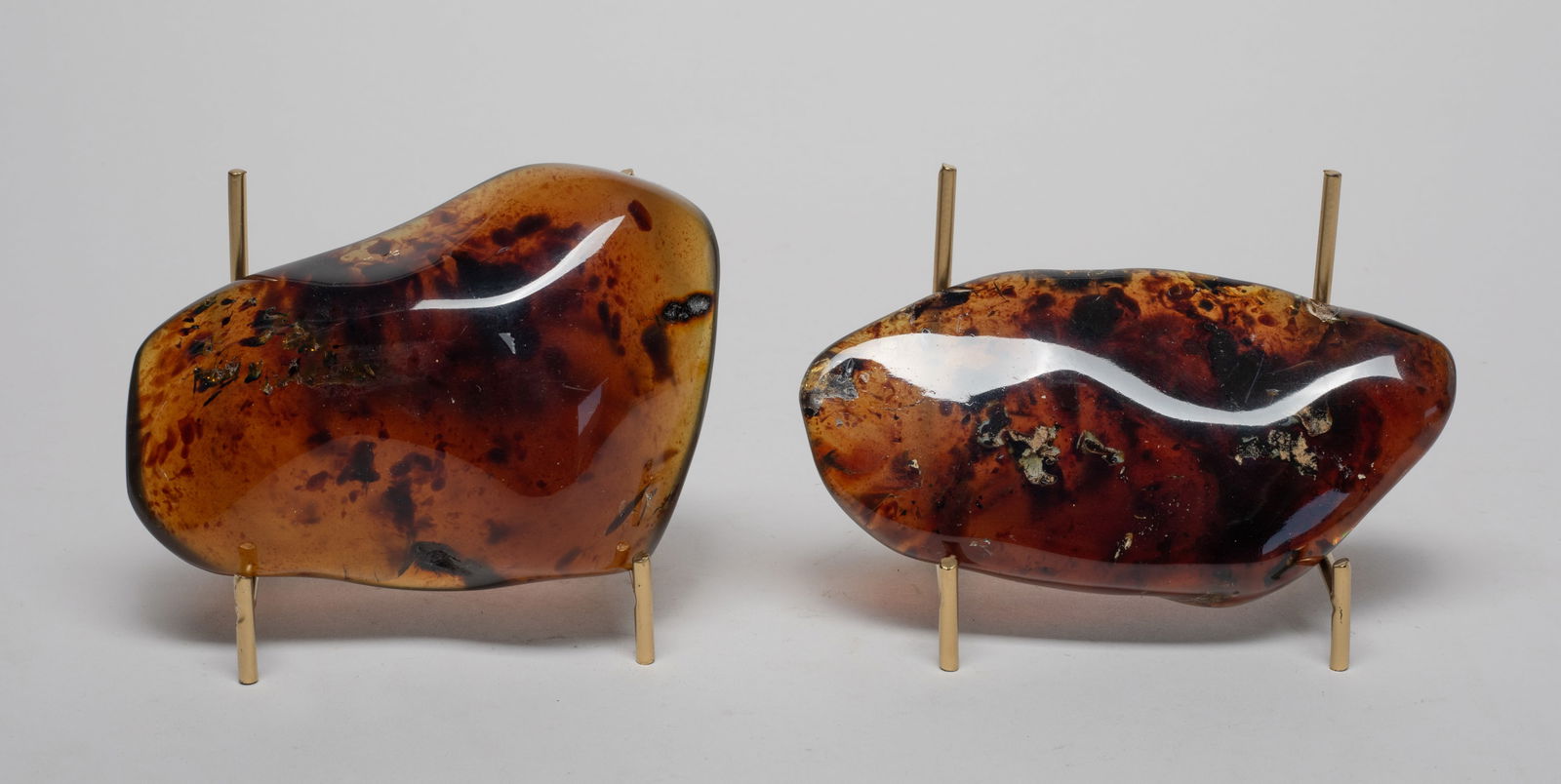 Two Root Amber Large Slices (1 of 11)