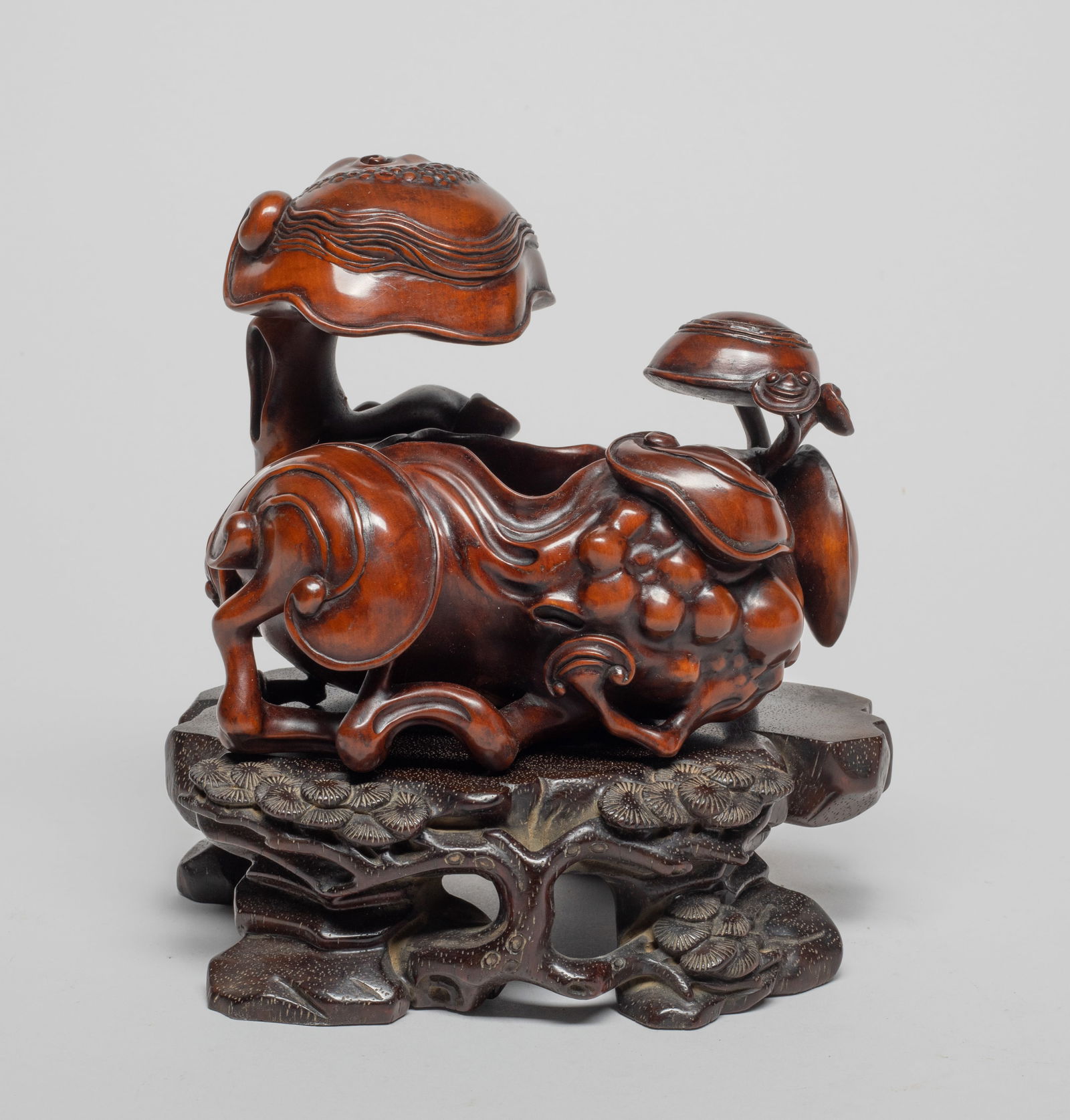 Rare Chinese Box Wood Lingzhi on Stand (1 of 12)