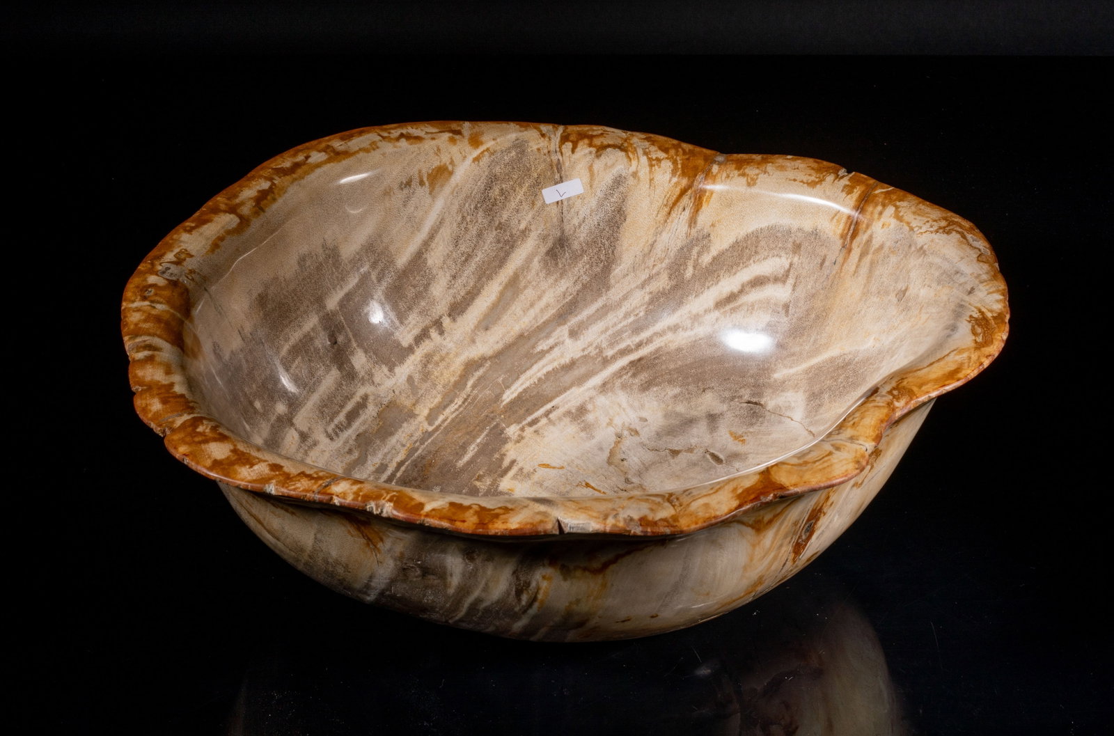 Massive Mid-century Petrified Wood Bowl: Massive heavy petrified wood carved bowl, the surface finely smoothed and polished. Approx. 15.2*12*5.6 inch.