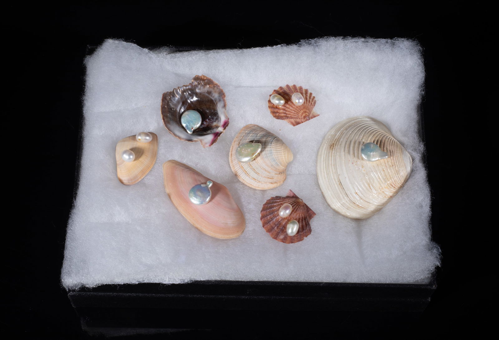 Collectible Shell & Sea Pearl Decor Set (1 of 11)