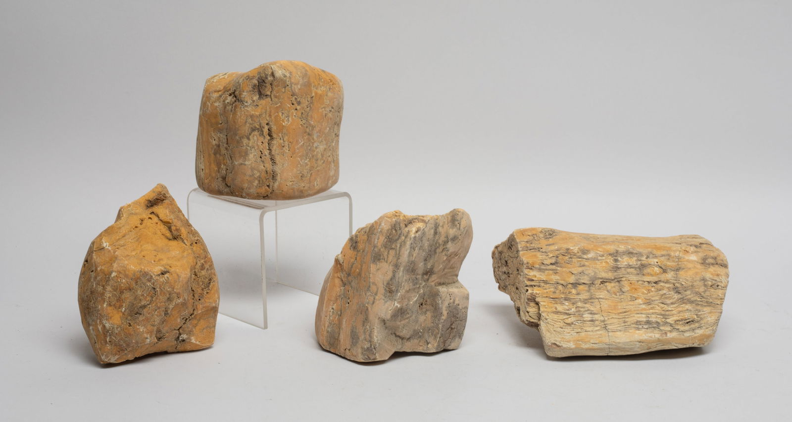 Large Set Fossilized Siberia Fossilized Amber (1 of 12)