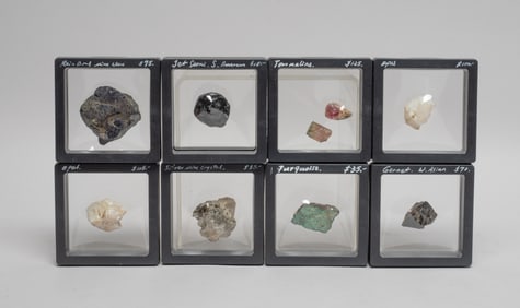 Collectible Opal, Fossil & Gemstones