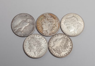 American Silver Morgan & Peace Coins
