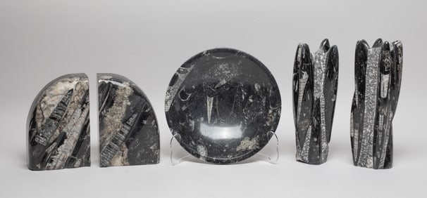 Collectible Fossilized Ammonite Sculpture