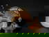 item-207807180=11