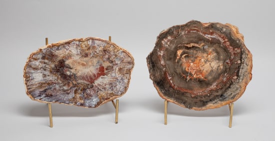 Two Petrified Wood Slab House Decors