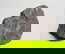 item-208022115=3