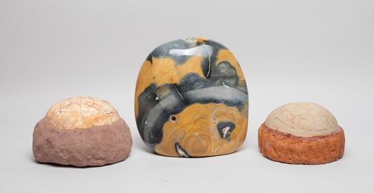 Estate Vintage Fossil Like Stones