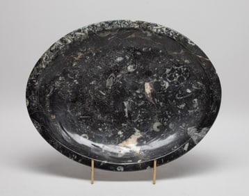 Estate Large Fossil Plate